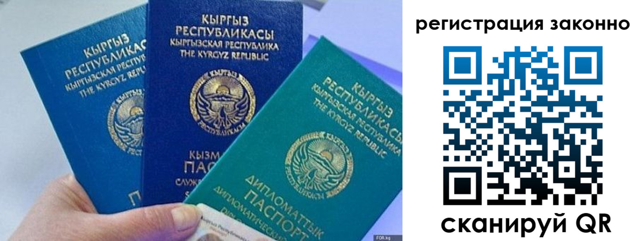 временная регистрация гарантия в Железногорске